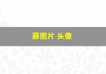 薛图片 头像